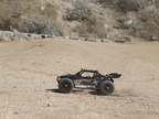 ECX Roost Desert Buggy 4WD 1:18 żółty